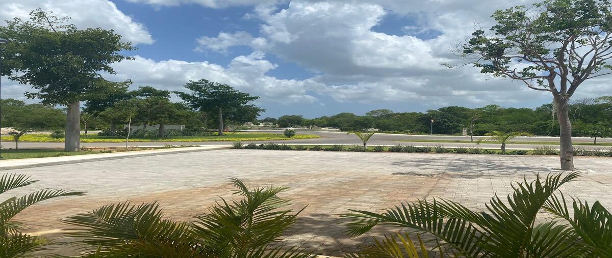 Foto de terreno habitacional en venta en  , sierra papacal, mérida, yucatán, 0 No. 05