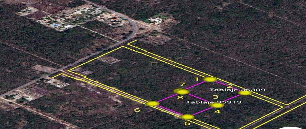 Foto de terreno habitacional en venta en  , sierra papacal, mérida, yucatán, 0 No. 03