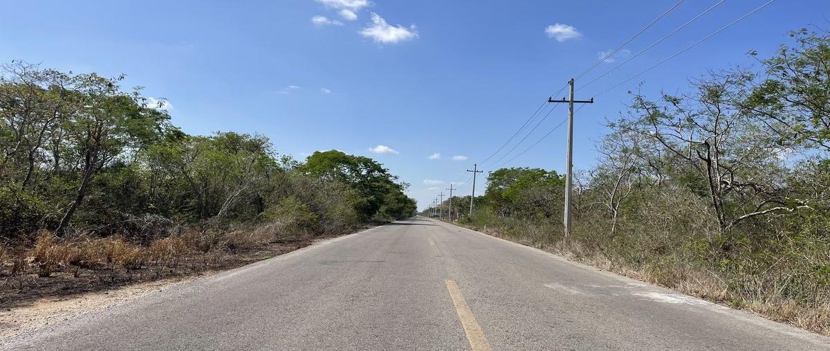 Foto de terreno habitacional en venta en  , sierra papacal, mérida, yucatán, 0 No. 03
