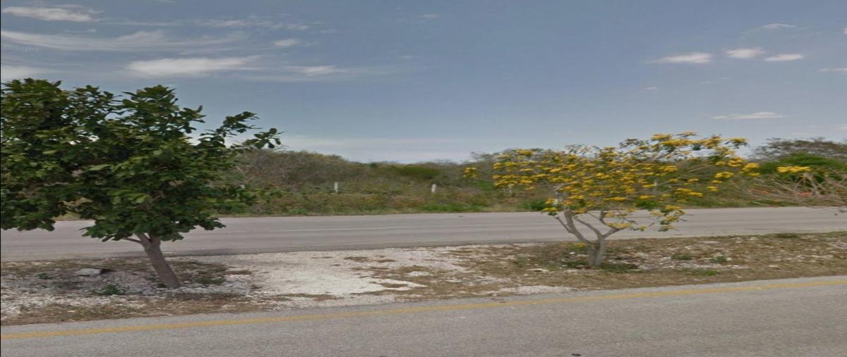 Foto de terreno habitacional en , sierra papacal, mérida, yucatán, 0 foto 02 Foto de terreno habitacional en venta en , sierra papacal, mérida, yucatán, 0 No. 02