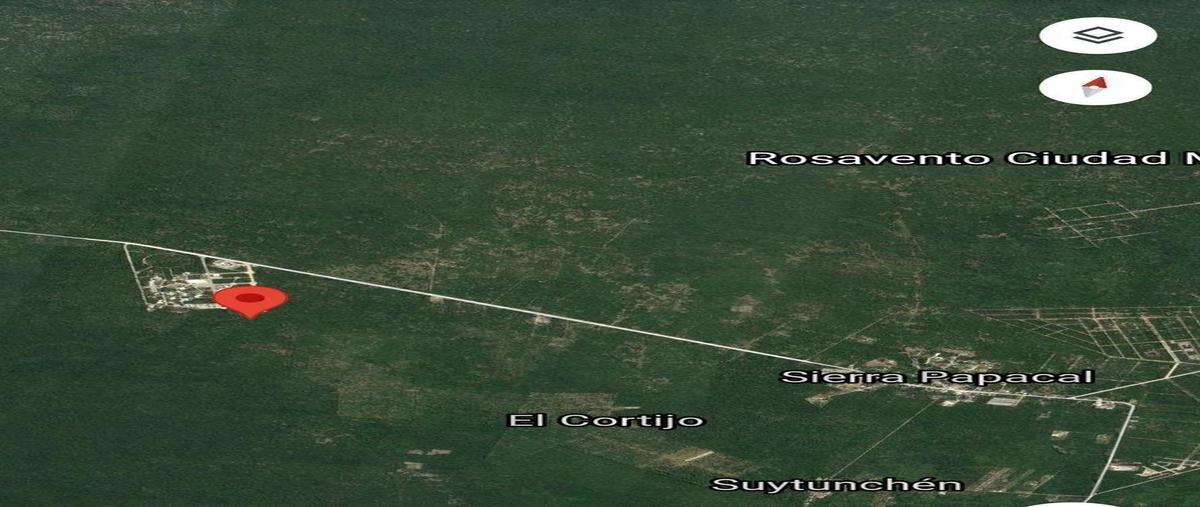 Foto de terreno habitacional en venta en  , sierra papacal, mérida, yucatán, 30147673 No. 03