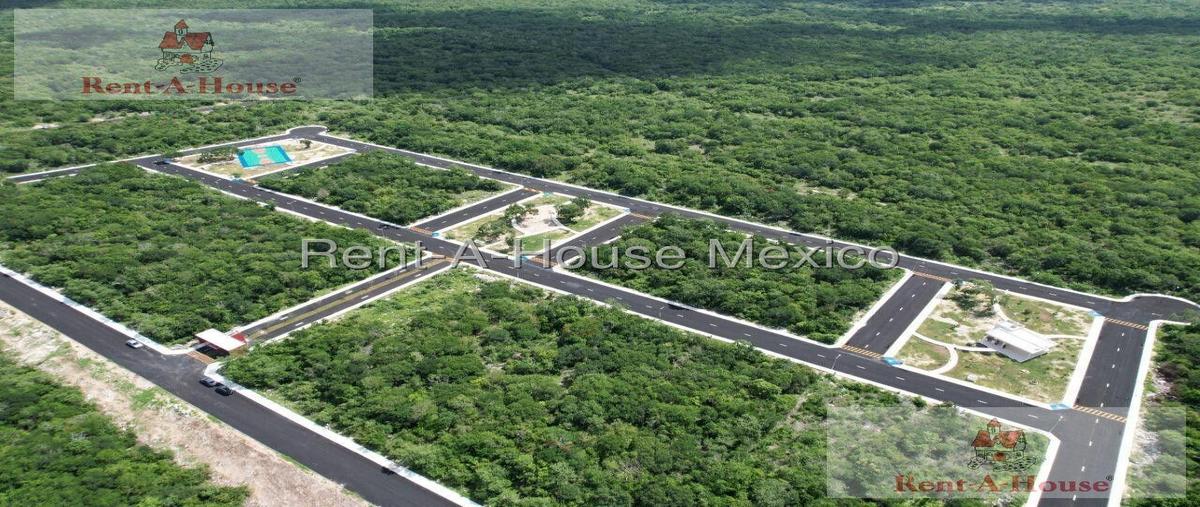 Foto de terreno habitacional en venta en  , sierra papacal, mérida, yucatán, 30356586 No. 03