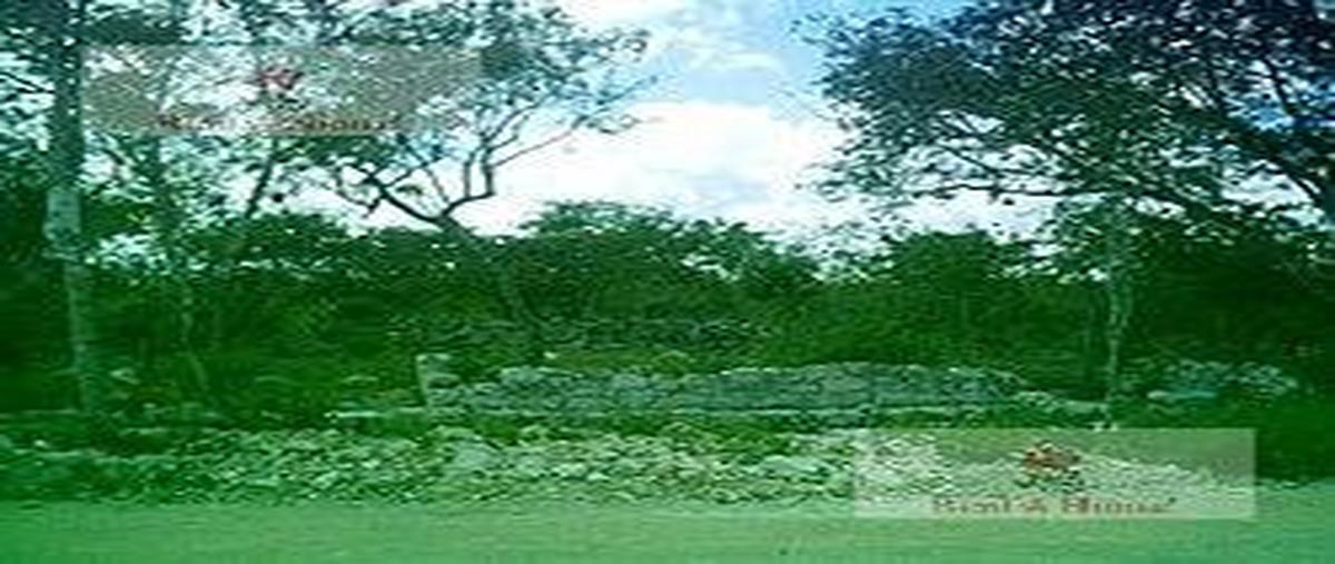 Foto de terreno habitacional en , sierra papacal, mérida, yucatán, 30376555 foto 05 Foto de terreno habitacional en venta en , sierra papacal, mérida, yucatán, 30376555 No. 05