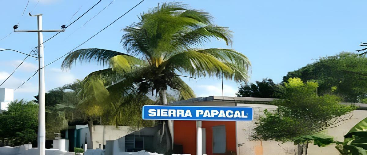 Foto de terreno habitacional en venta en  , sierra papacal, mérida, yucatán, 30402507 No. 03