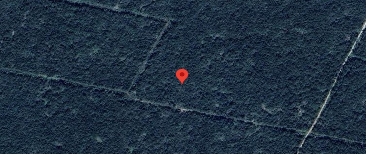 Foto de terreno habitacional en venta en  , sierra papacal, mérida, yucatán, 30481450 No. 04