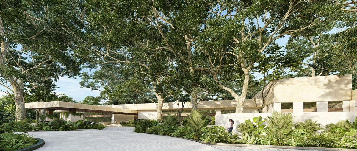 Foto de terreno habitacional en venta en  , sierra papacal, mérida, yucatán, 30628142 No. 03