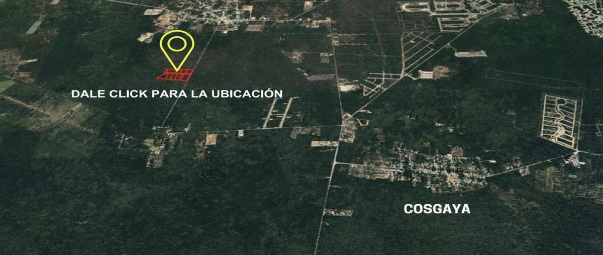 Foto de terreno habitacional en venta en  , sierra papacal, mérida, yucatán, 30711188 No. 03