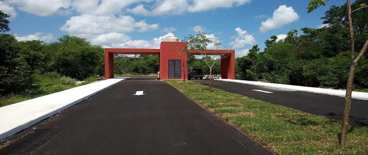Foto de terreno habitacional en venta en  , sierra papacal, mérida, yucatán, 30711189 No. 03