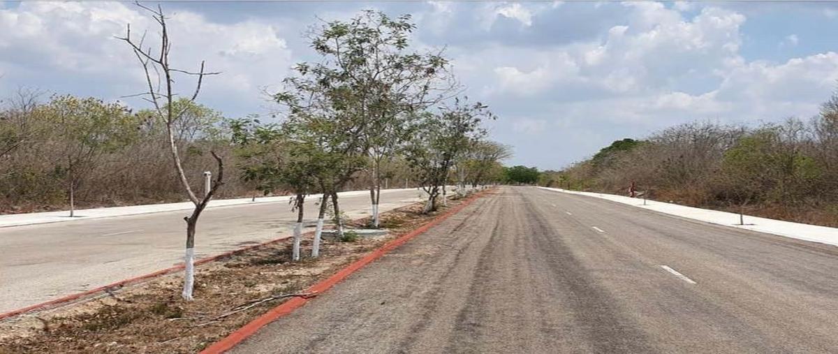 Foto de terreno habitacional en venta en  , sierra papacal, mérida, yucatán, 0 No. 04