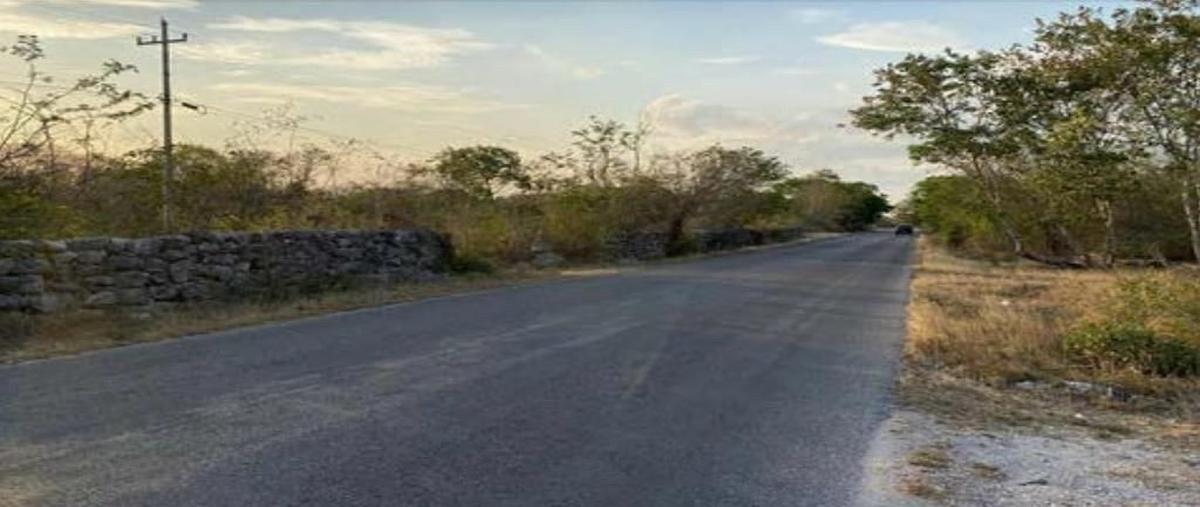 Foto de terreno habitacional en venta en  , sierra papacal, mérida, yucatán, 0 No. 05