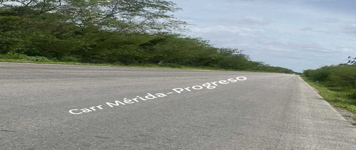 Foto de terreno habitacional en venta en sierra papacal , sierra papacal, mérida, yucatán, 28284684 No. 03