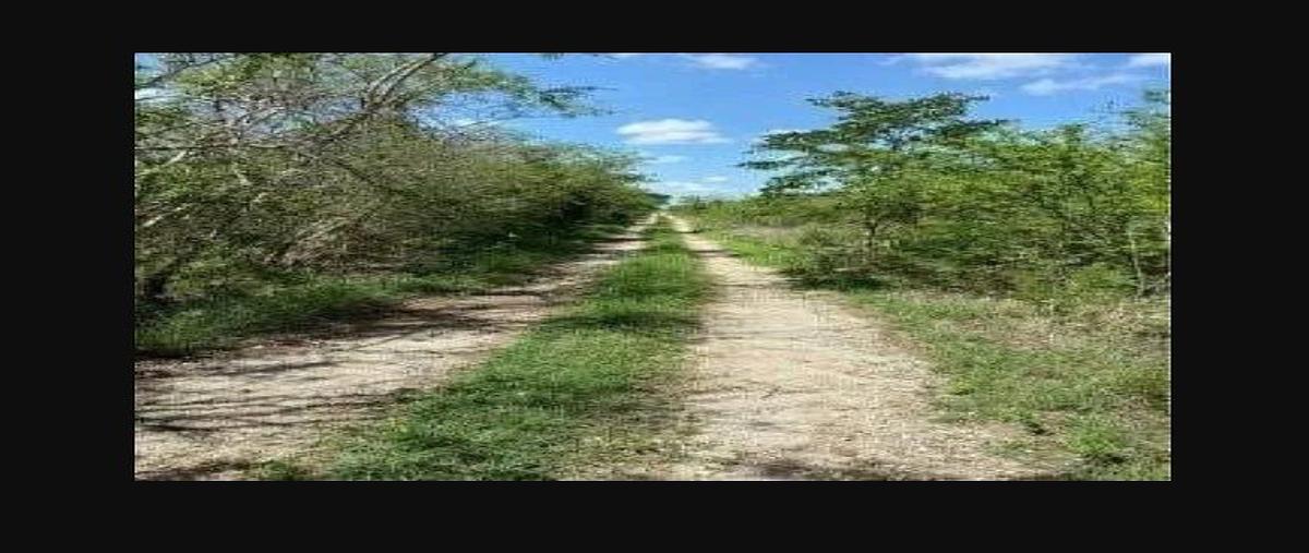 Foto de terreno habitacional en sierra papacal , sierra papacal, mérida, yucatán, 30696346 foto 02 Foto de terreno habitacional en venta en sierra papacal , sierra papacal, mérida, yucatán, 30696346 No. 02