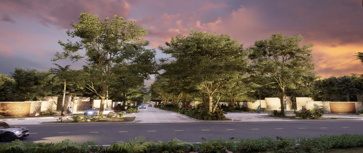 Foto de terreno habitacional en sierra papacalyuc. , sierra papacal, mérida, yucatán, 29306778 foto 04 Foto de terreno habitacional en venta en sierra papacalyuc. , sierra papacal, mérida, yucatán, 29306778 No. 04