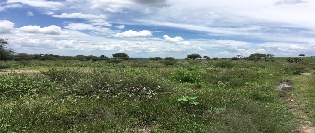 Foto de terreno habitacional en venta en  , silao centro, silao de la victoria, guanajuato, 15878514 No. 04