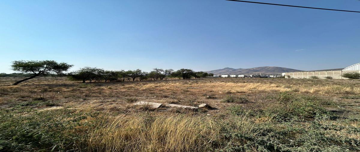 Foto de terreno habitacional en renta en  , silao centro, silao de la victoria, guanajuato, 0 No. 03