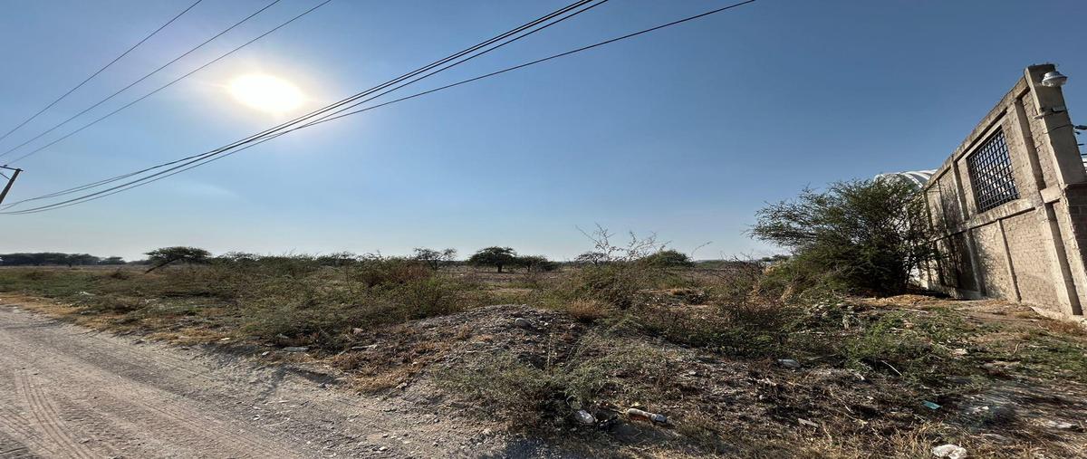 Foto de terreno habitacional en renta en  , silao centro, silao de la victoria, guanajuato, 0 No. 05