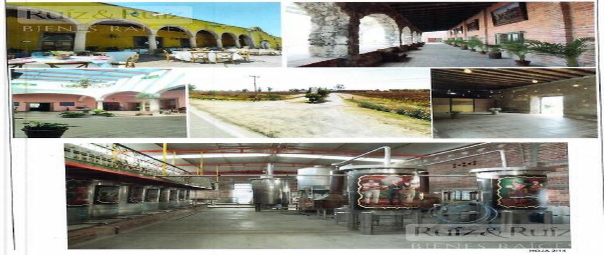 Foto de terreno habitacional en , silao centro, silao de la victoria, guanajuato, 29993010 foto 05 Foto de terreno habitacional en venta en , silao centro, silao de la victoria, guanajuato, 29993010 No. 05