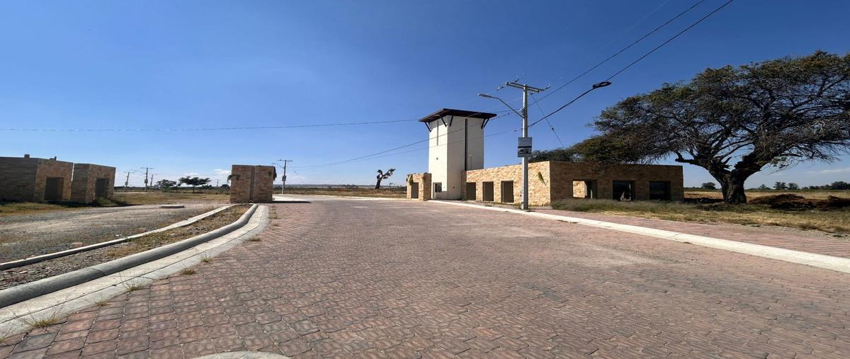 Foto de terreno habitacional en venta en  , silao centro, silao de la victoria, guanajuato, 0 No. 04