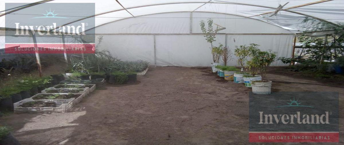 Foto de casa en venta en  , silao centro, silao, guanajuato, 0 No. 04
