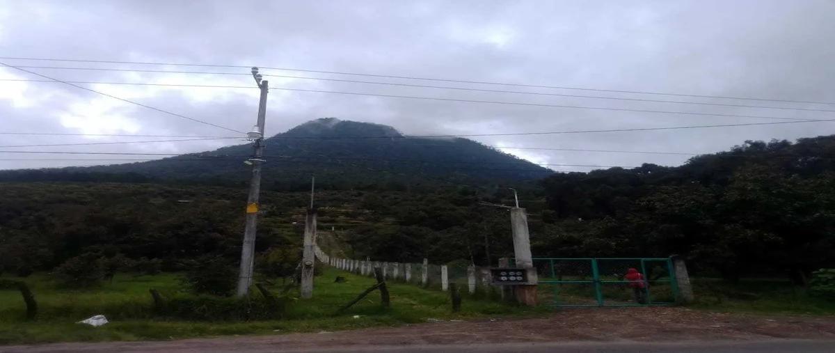 Foto de terreno habitacional en venta en silva , aputzio de juárez (santa maría), zitácuaro, michoacán de ocampo, 26684144 No. 04