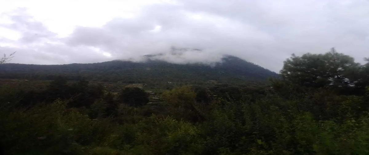 Foto de terreno habitacional en venta en silva , aputzio de juárez (santa maría), zitácuaro, michoacán de ocampo, 26684144 No. 05