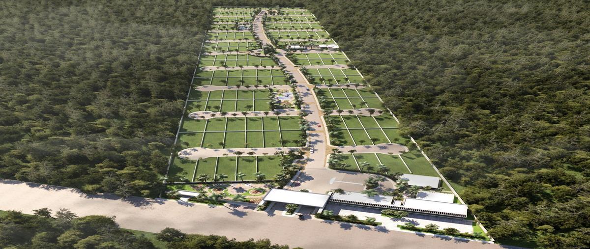 Foto de terreno habitacional en silvesta , conkal, conkal, yucatán, 22457416 foto 05 Foto de terreno habitacional en venta en silvesta , conkal, conkal, yucatán, 22457416 No. 05