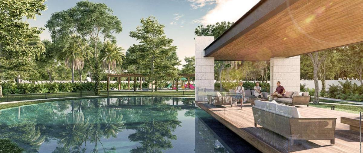 Foto de terreno habitacional en venta en silvestre , tamanché, mérida, yucatán, 30293547 No. 05
