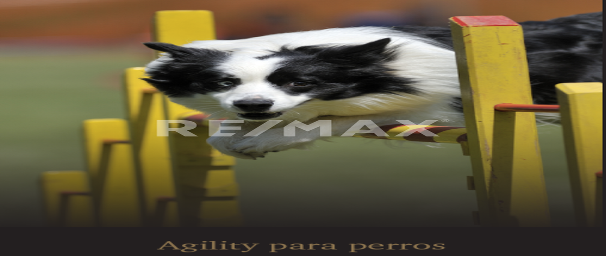 Foto de terreno habitacional en venta en simaté , ecológica (valle de oro), corregidora, querétaro, 0 No. 04