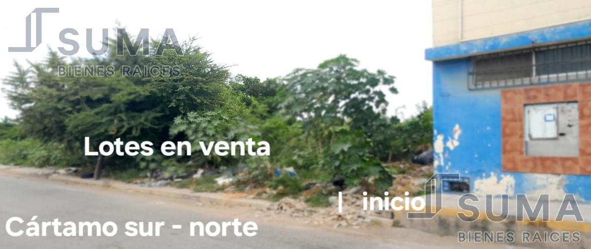 Foto de terreno habitacional en renta en  , simon rivera, ciudad madero, tamaulipas, 0 No. 03