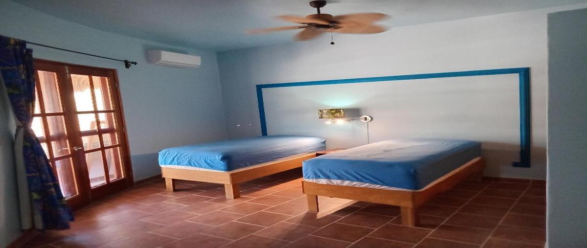 Foto de casa en sin calle , cabo pulmo, los cabos, baja california sur, 28647805 foto 04 Foto de casa en venta en sin calle , cabo pulmo, los cabos, baja california sur, 28647805 No. 04