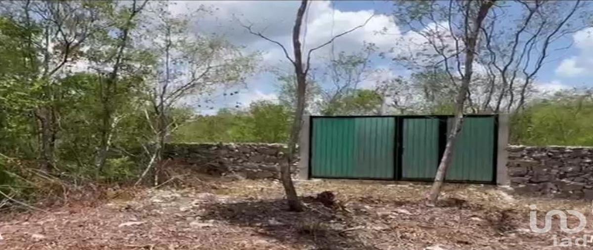Foto de terreno habitacional en venta en sin calle , dzidzantun, dzidzantún, yucatán, 0 No. 04