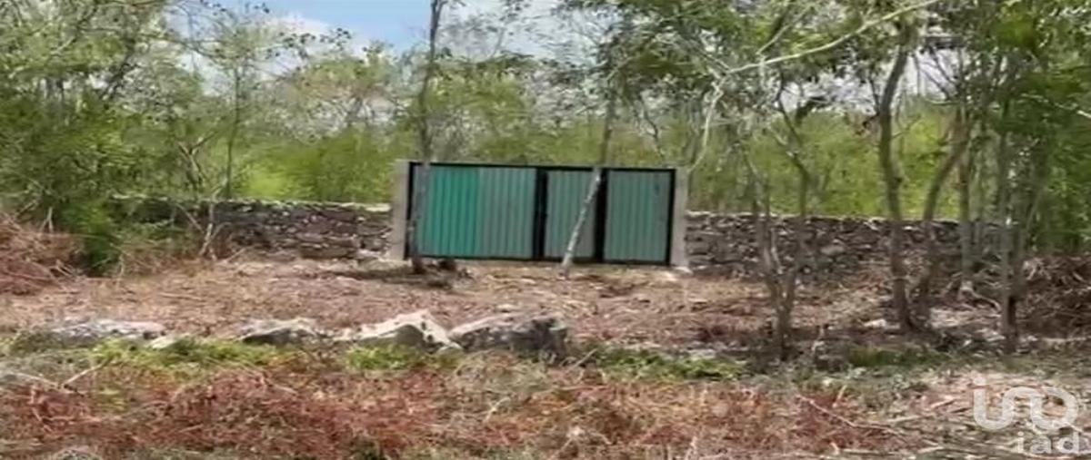 Foto de terreno habitacional en venta en sin calle , dzidzantun, dzidzantún, yucatán, 0 No. 05