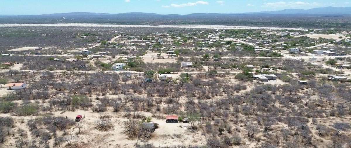Foto de terreno habitacional en sin calle , el campamento, los cabos, baja california sur, 0 foto 03 Foto de terreno habitacional en venta en sin calle , el campamento, los cabos, baja california sur, 0 No. 03