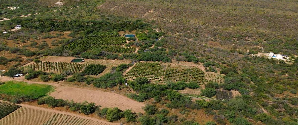 Foto de terreno habitacional en venta en sin calle , el zacatal, los cabos, baja california sur, 27911694 No. 03