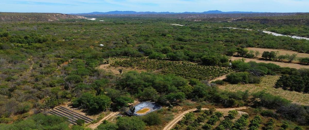 Foto de terreno habitacional en venta en sin calle , el zacatal, los cabos, baja california sur, 27911694 No. 04