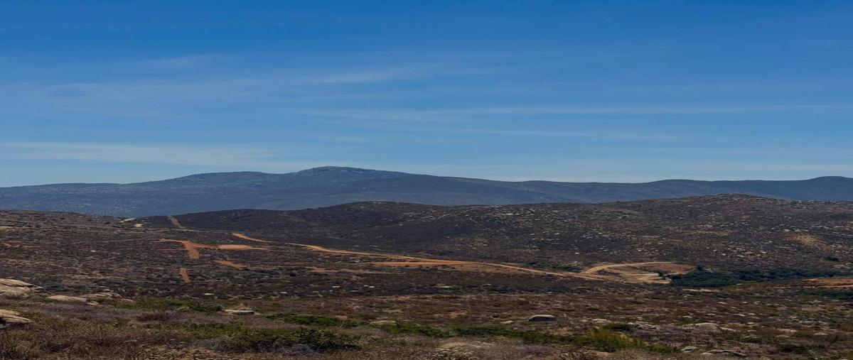 Foto de terreno habitacional en venta en sin calle , francisco zarco (valle de guadalupe), ensenada, baja california, 0 No. 03
