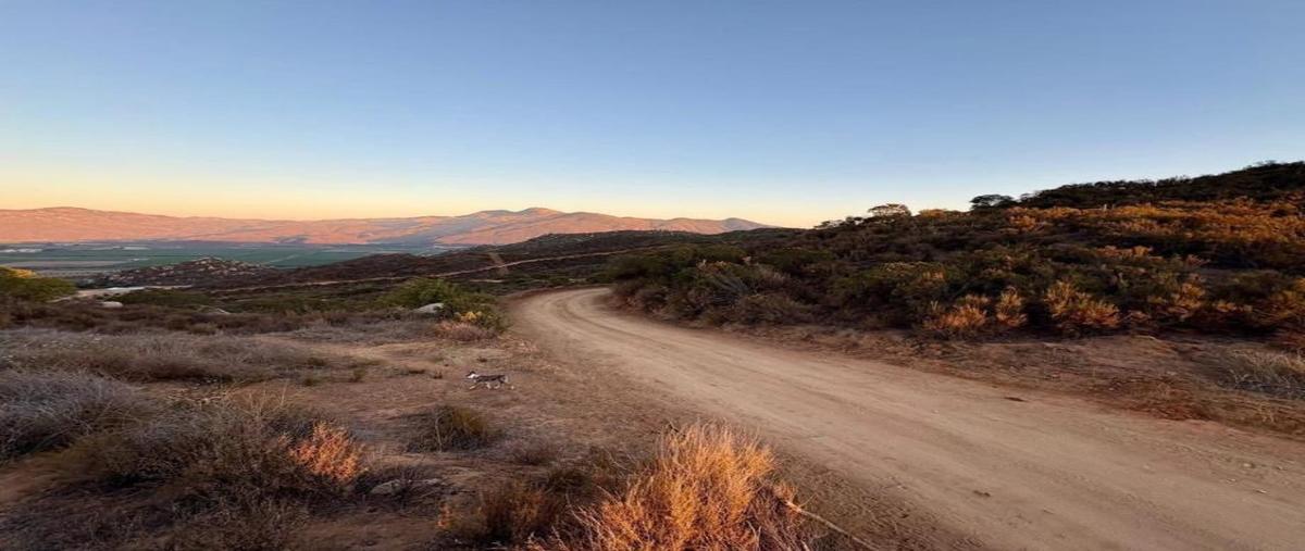 Foto de terreno habitacional en venta en sin calle , francisco zarco (valle de guadalupe), ensenada, baja california, 0 No. 04