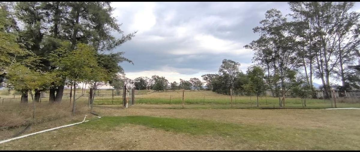 Foto de rancho en venta en sin calle , ixtapan de la sal, ixtapan de la sal, méxico, 30727765 No. 03