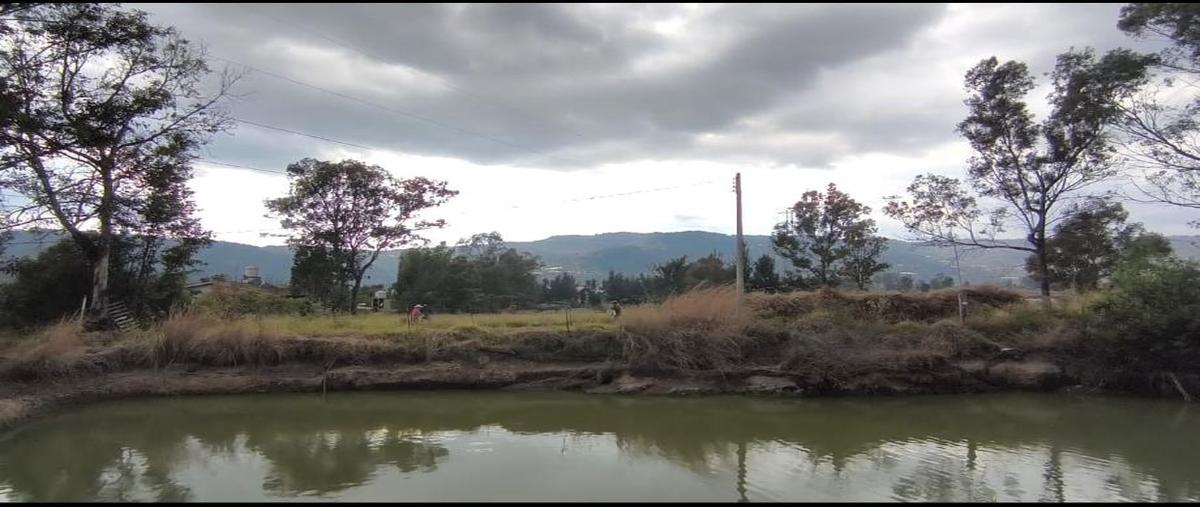 Foto de rancho en venta en sin calle , ixtapan de la sal, ixtapan de la sal, méxico, 30727765 No. 04