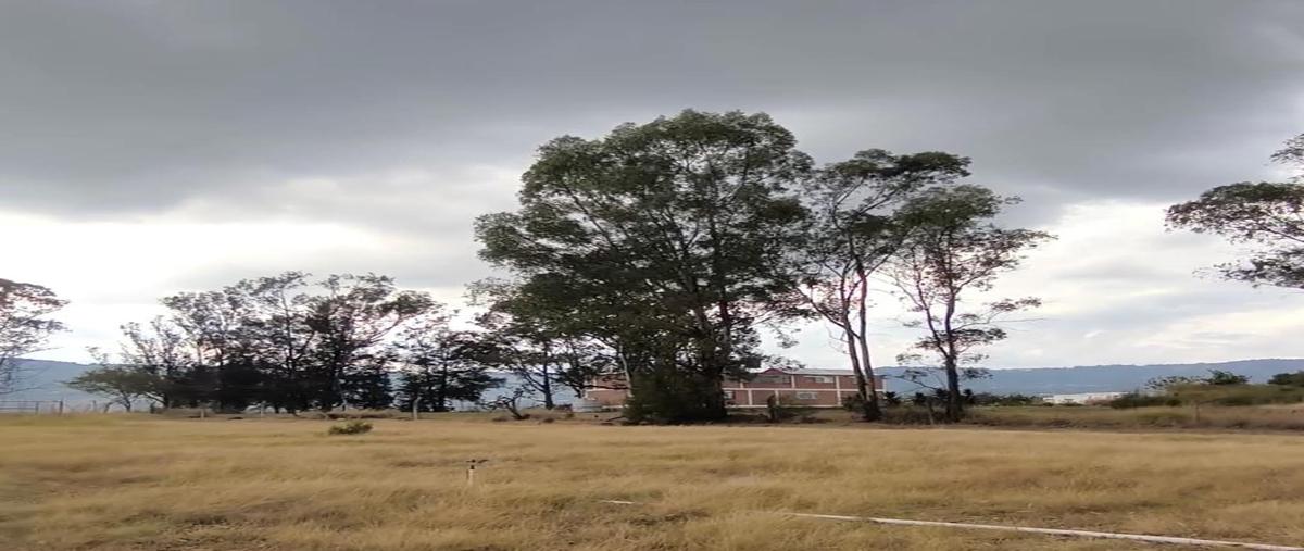 Foto de rancho en venta en sin calle , ixtapan de la sal, ixtapan de la sal, méxico, 30727765 No. 05