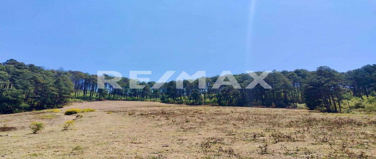 Foto de terreno habitacional en sin calle , la sierrita, san simón de guerrero, méxico, 0 foto 01 Foto de terreno habitacional en venta en sin calle , la sierrita, san simón de guerrero, méxico, 0 No. 01