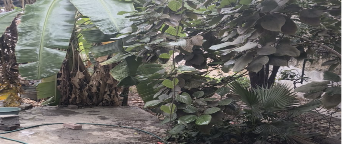 Foto de bodega en venta en sin calle , monterrey centro, monterrey, nuevo león, 0 No. 04