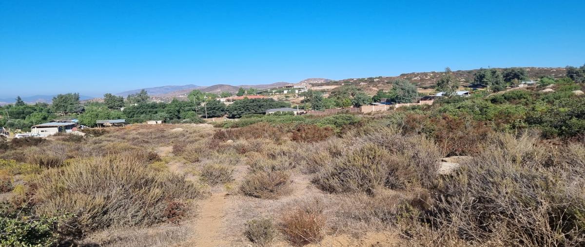 Foto de terreno habitacional en venta en sin calle , nueva hindú sección cerro azul, tecate, baja california, 27347028 No. 04