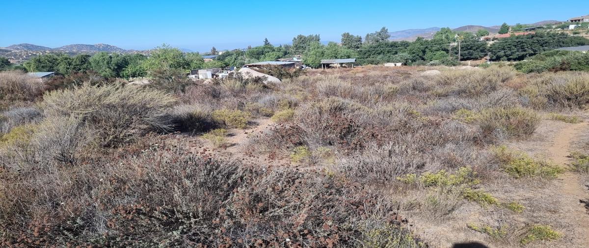 Foto de terreno habitacional en venta en sin calle , nueva hindú sección cerro azul, tecate, baja california, 27347028 No. 05