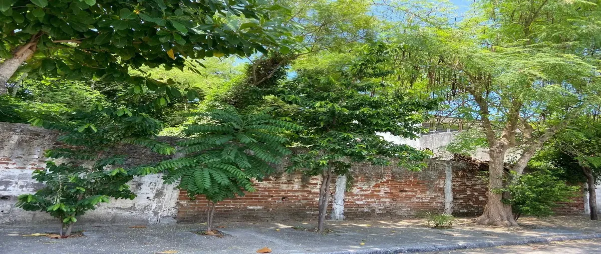 Foto de terreno habitacional en sin calle , ricardo flores magón, boca del río, veracruz de ignacio de la llave, 0 foto 02 Foto de terreno habitacional en venta en sin calle , ricardo flores magón, boca del río, veracruz de ignacio de la llave, 0 No. 02