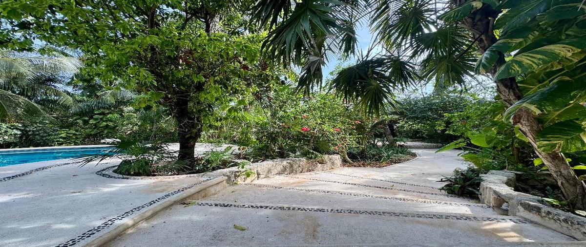 Foto de rancho en venta en sin calle , tulum centro, tulum, quintana roo, 0 No. 03