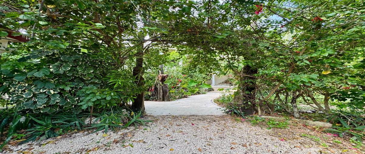 Foto de rancho en venta en sin calle , tulum centro, tulum, quintana roo, 0 No. 04