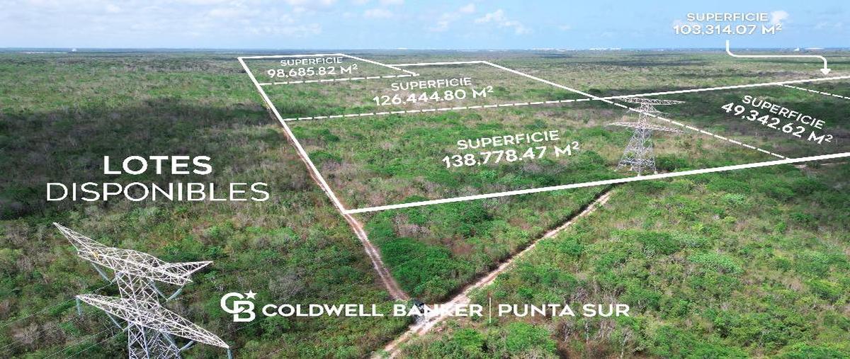 Foto de terreno habitacional en venta en sin calle , villas la playa, puerto morelos, quintana roo, 28063587 No. 03