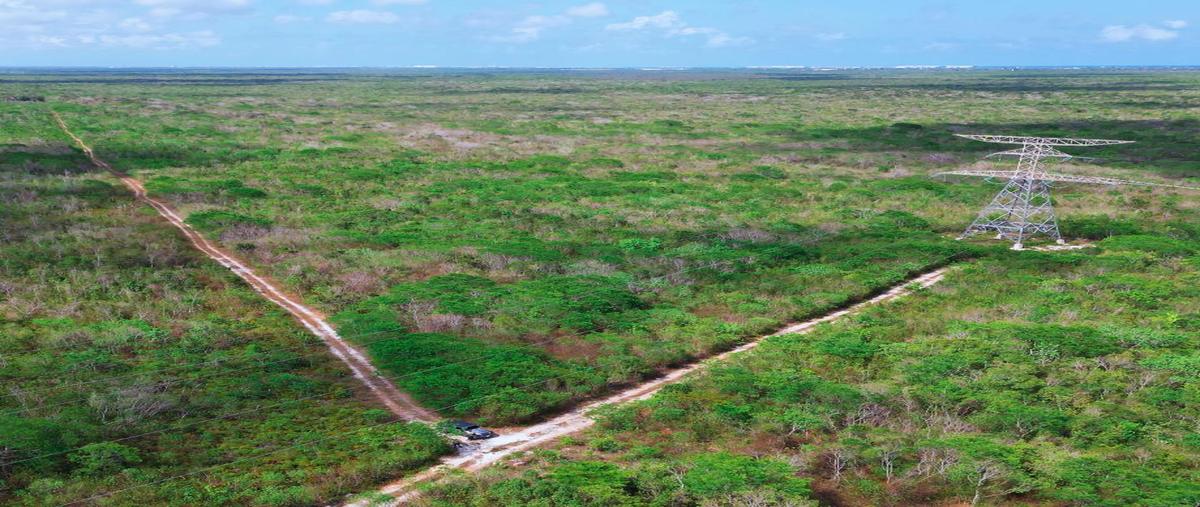 Foto de terreno habitacional en venta en sin calle , villas la playa, puerto morelos, quintana roo, 28063587 No. 05