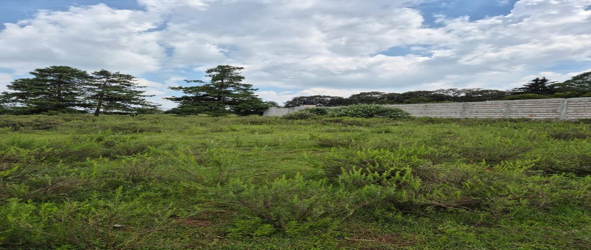 Foto de terreno habitacional en venta en sin dato , sta. martha de la cruz, jilotepec, méxico, 30399893 No. 04